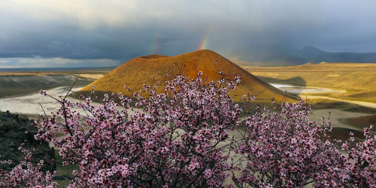 Türkiye’ye akın akın geliyorlar: “Dünyanın nazar boncuğu” diye biliniyor