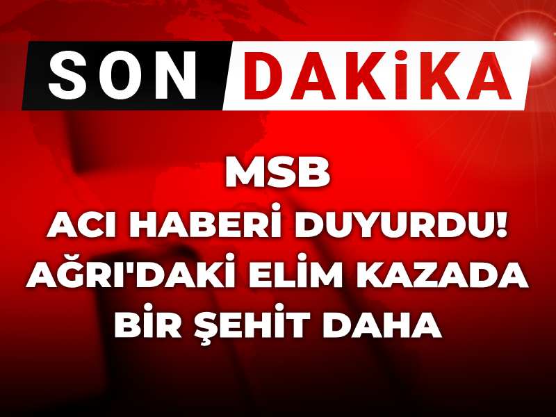 Son dakika | MSB acı haberi duyurdu! Ağrı'daki elim kazada bir şehit daha