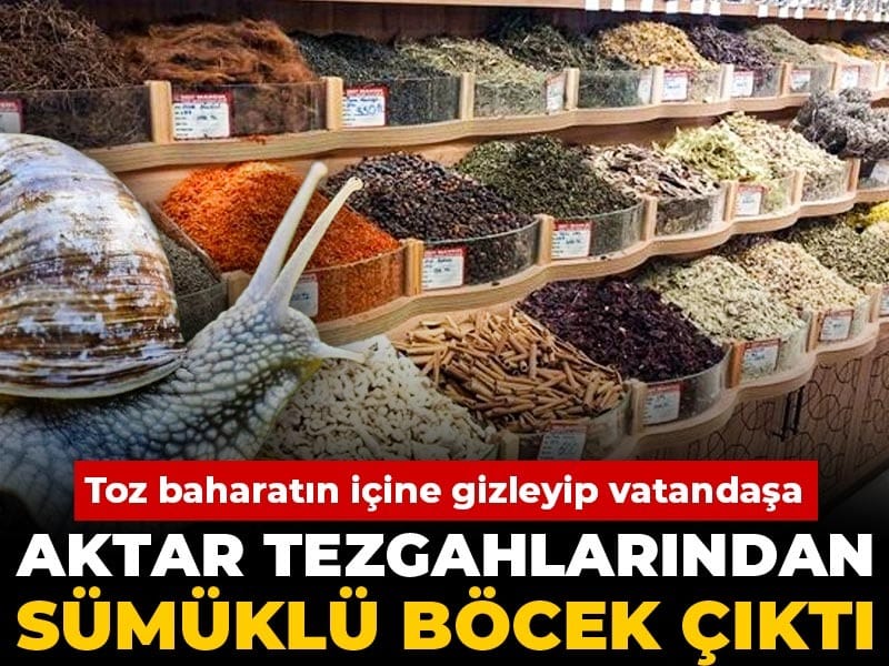 Toz baharatın içine gizleyip vatandaşa yedirdiler: Aktar tezgahlarından sümüklü böcek çıktı