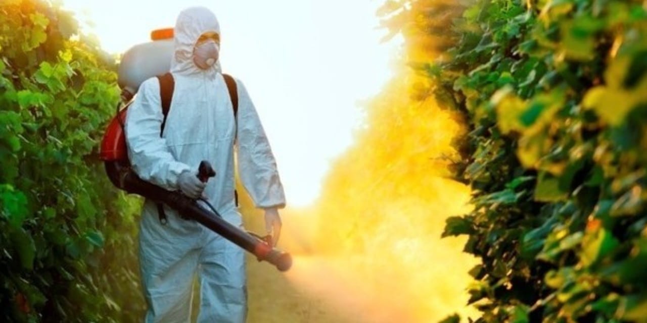 Yüzde 96’sında pestisit tespit edildi! Musluk suyu bile riskli bulundu