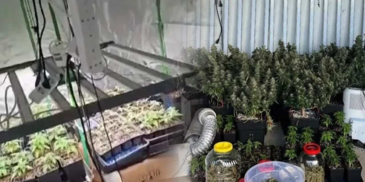 Uyuşturucu baskınında 36 kişi yakalandı 3 kişi tutuklandı!