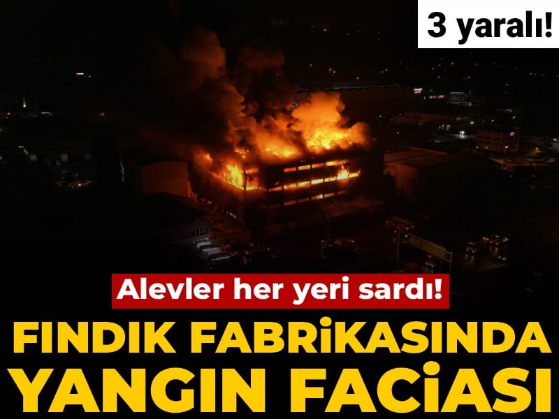 Fındık fabrikasında yangın faciası! Alevler her yeri sardı: 2 yaralı