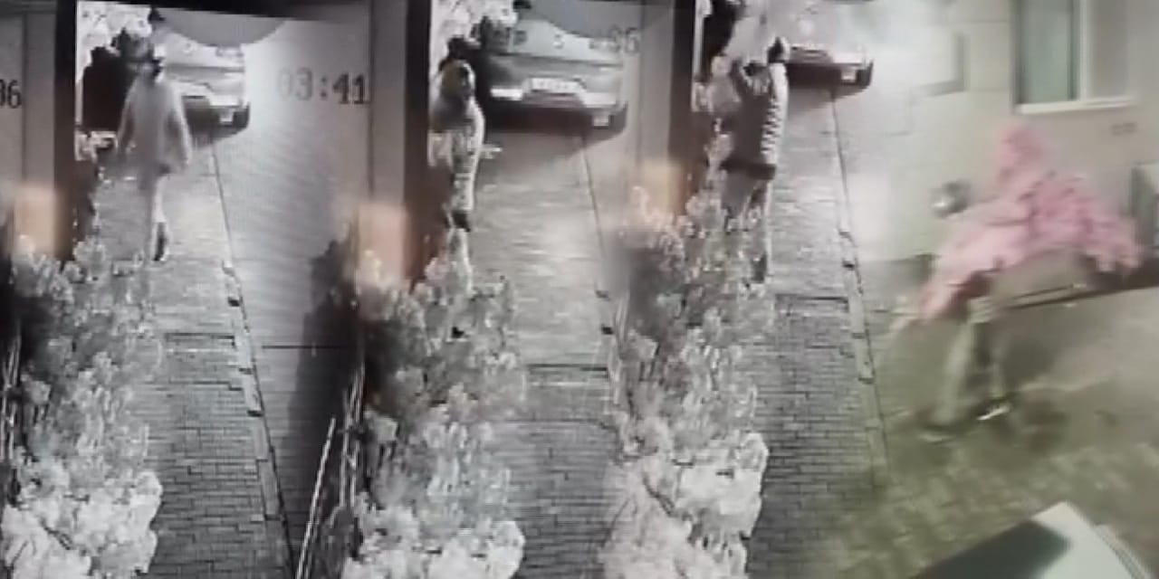 Kapıyı açamayan hırsız süs ağacını omuzlayıp çaldı: O anlar kamerada