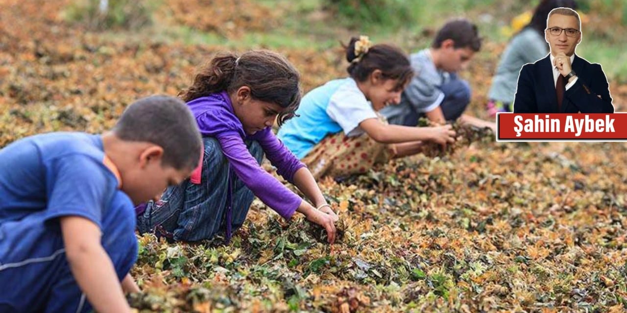 Mevsimlik tarım işçisi öğrenciler ve mobil yaşamlarının güçlendirilmesine dair çözüm önerileri