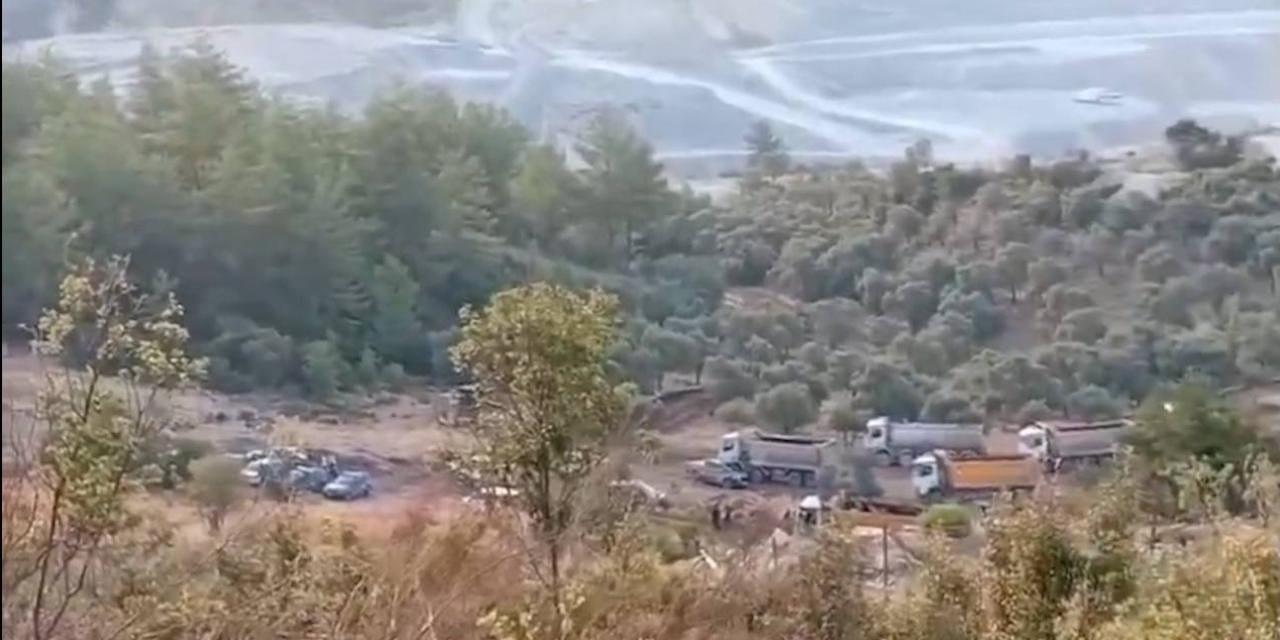 Akbelen'de maden kıyımı: 5 bin zeytin ağacı sökülecek