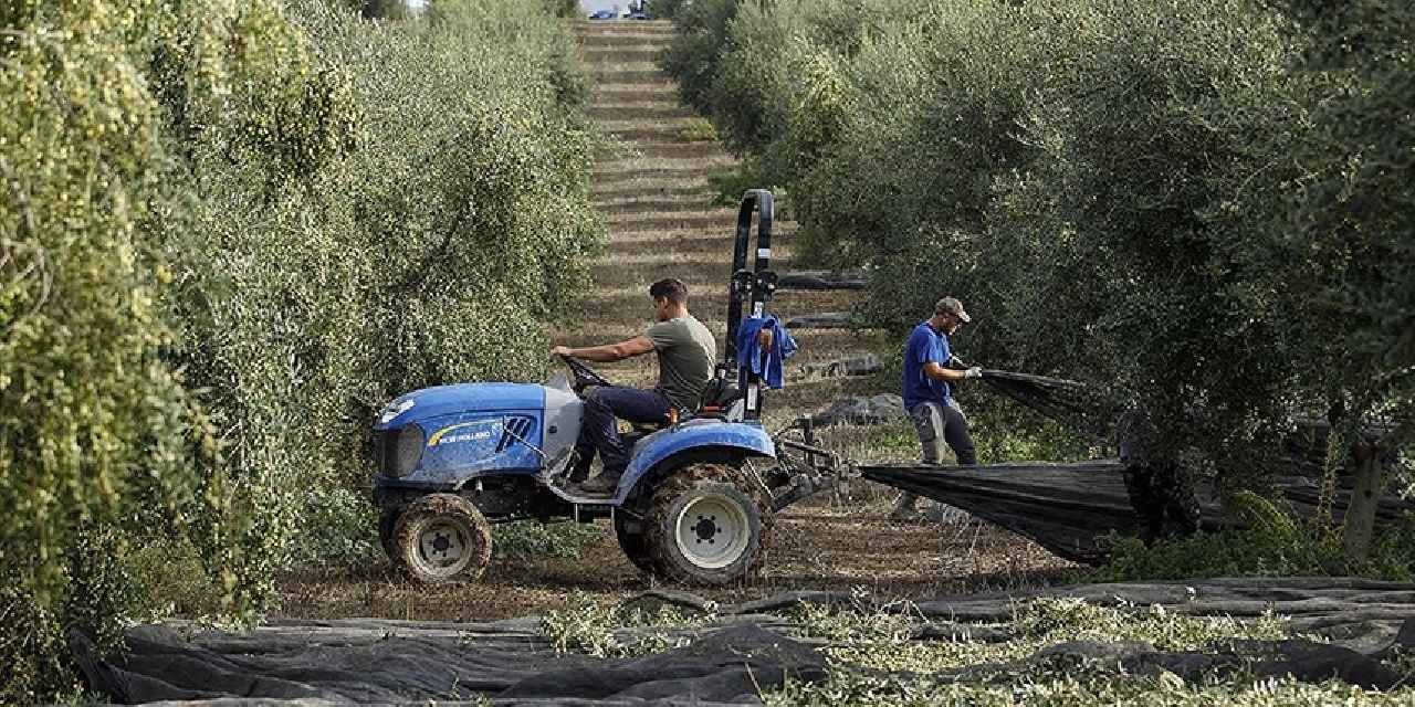 Çiftçiye İspanya'da 877 milyon euro destek açıklandı