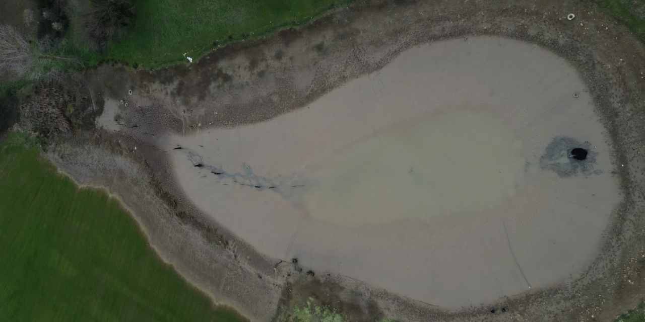Sakarya'daki gölet bir anda boşaldı: Balıklar açıkta kaldı