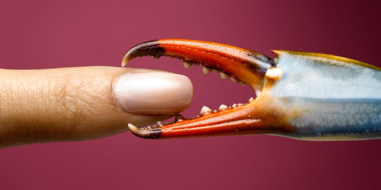 Bilim dünyasında bir ilk: Çift cinsiyet keşfi heyecan yarattı