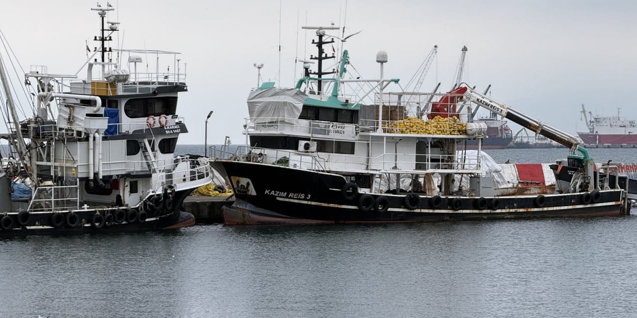Marmara'da balık yok denecek kadar azaldı: Av sezonu kapandı