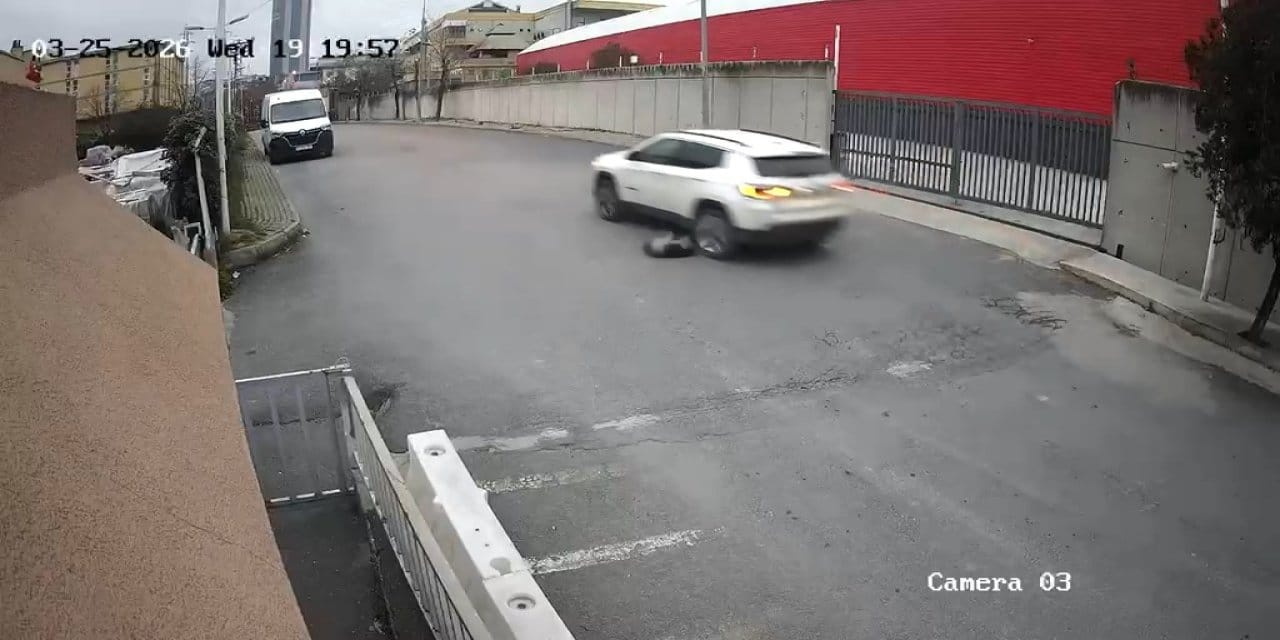 Cip sürücüsü köpeğin üzerinden geçip yoluna devam etti