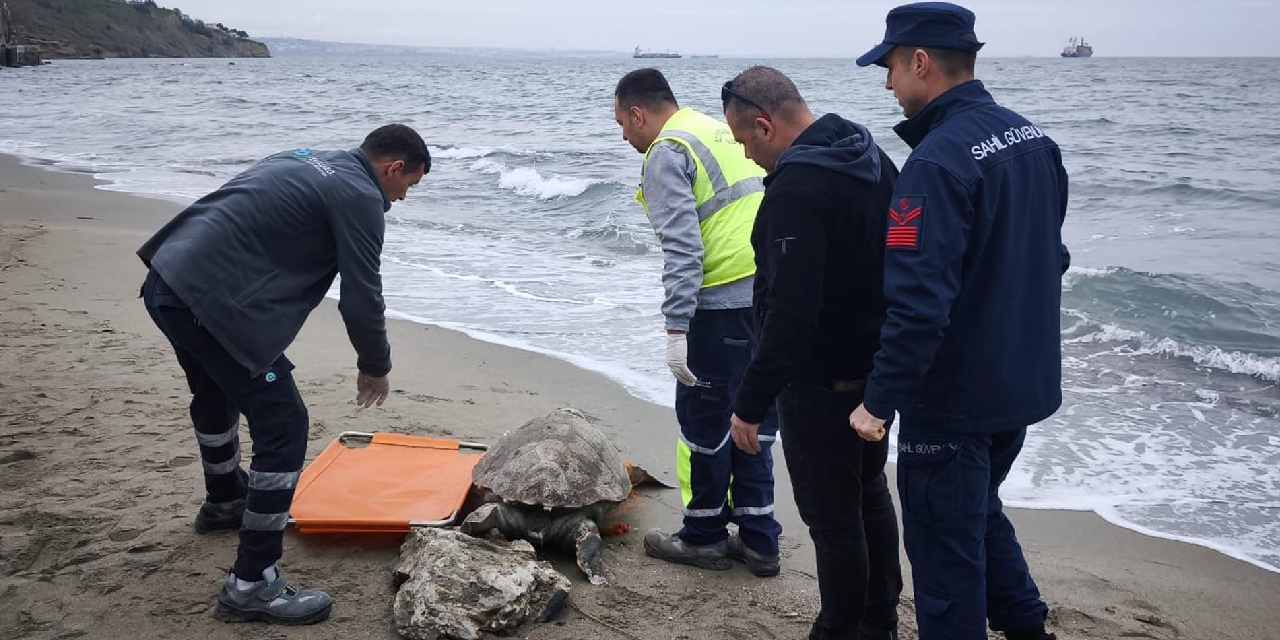 Yürüyüş yapan vatandaşlar fark etti: Hemen ekiplere haber verdiler