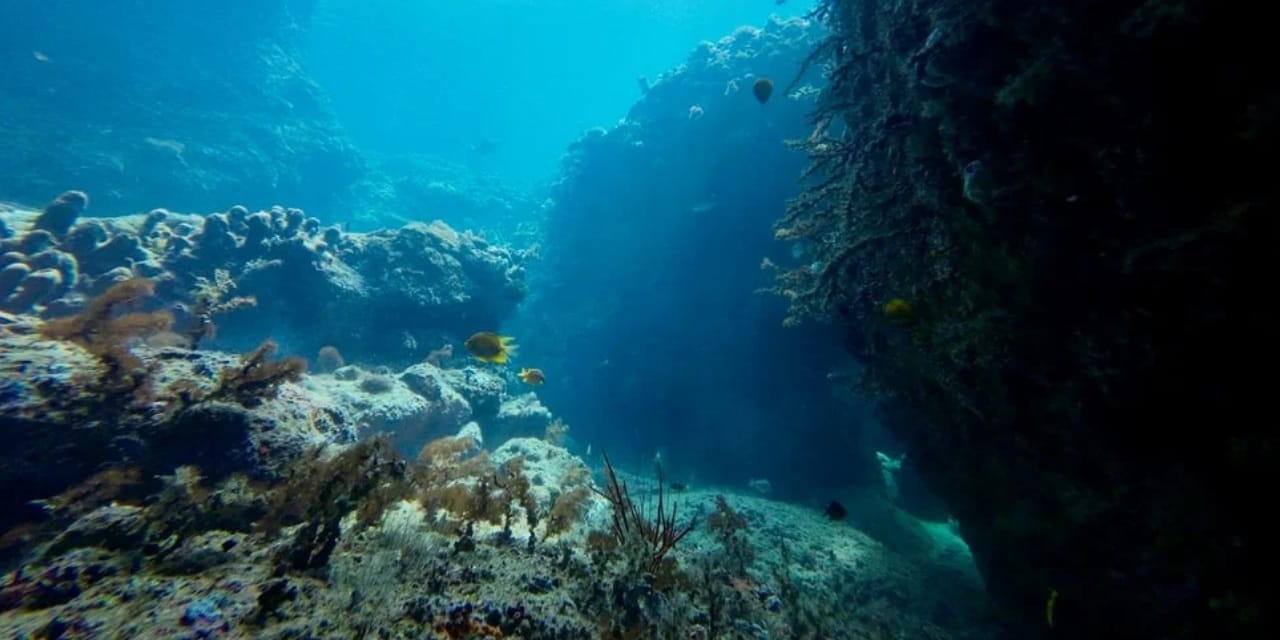 Okyanuslardan kat kat büyük su kaynağı bulundu