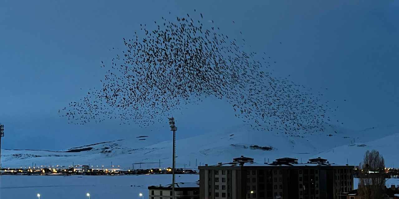 Ardahan'ı istila ettiler: Gökyüzü siyaha büründü