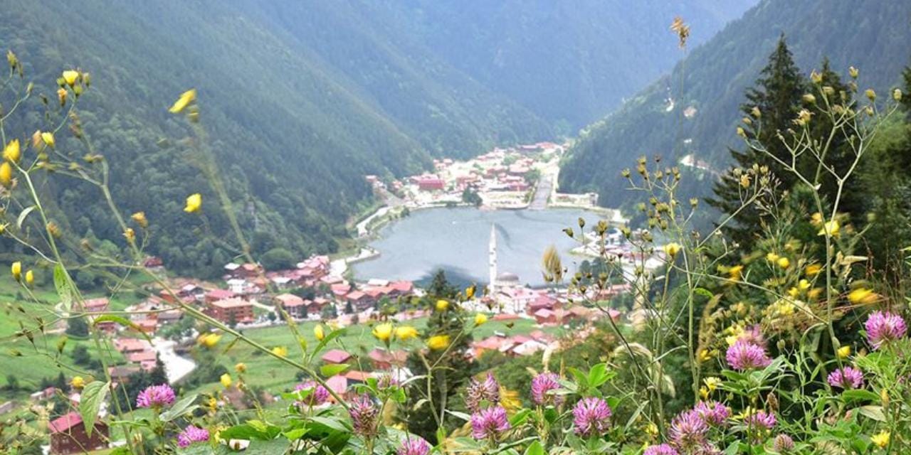 En uzun yaşayanların şehri belli oldu: TÜİK il il ömür haritasını açıkladı