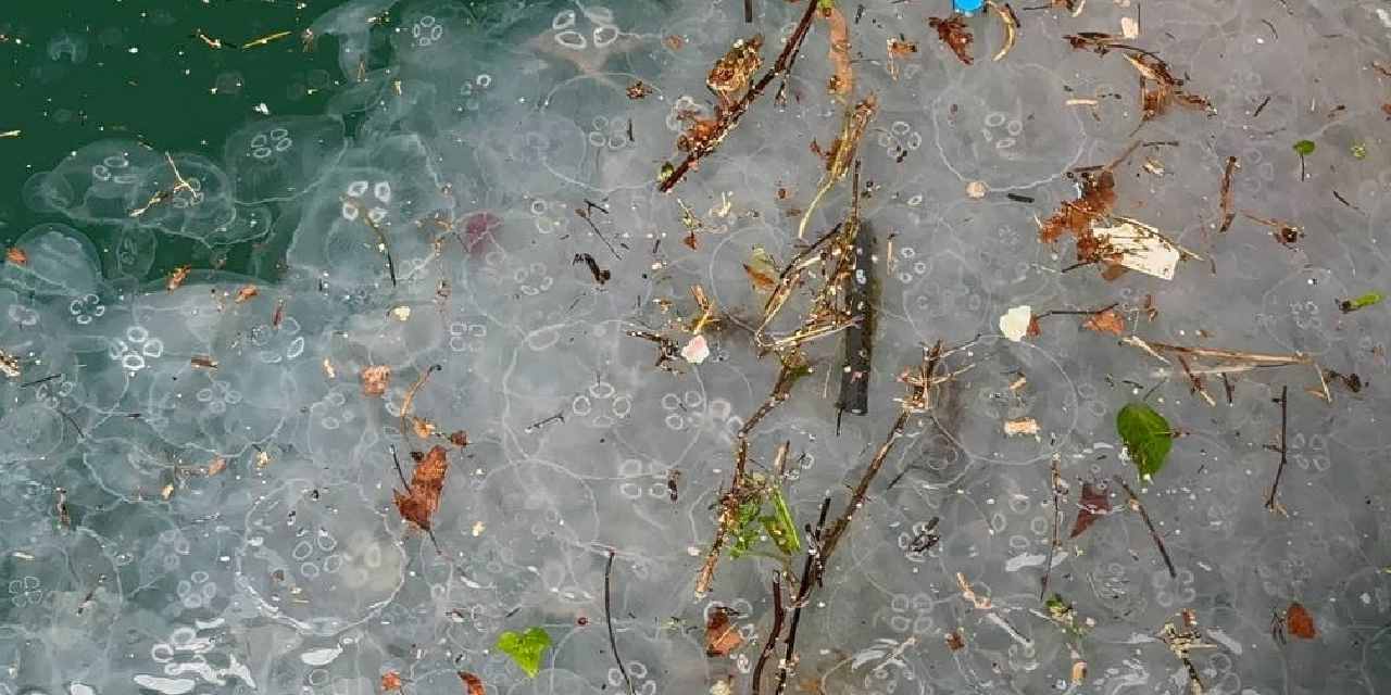 Durmak bilmeyen yağmur sonrası İstanbul'da bu görüntü ortaya çıktı