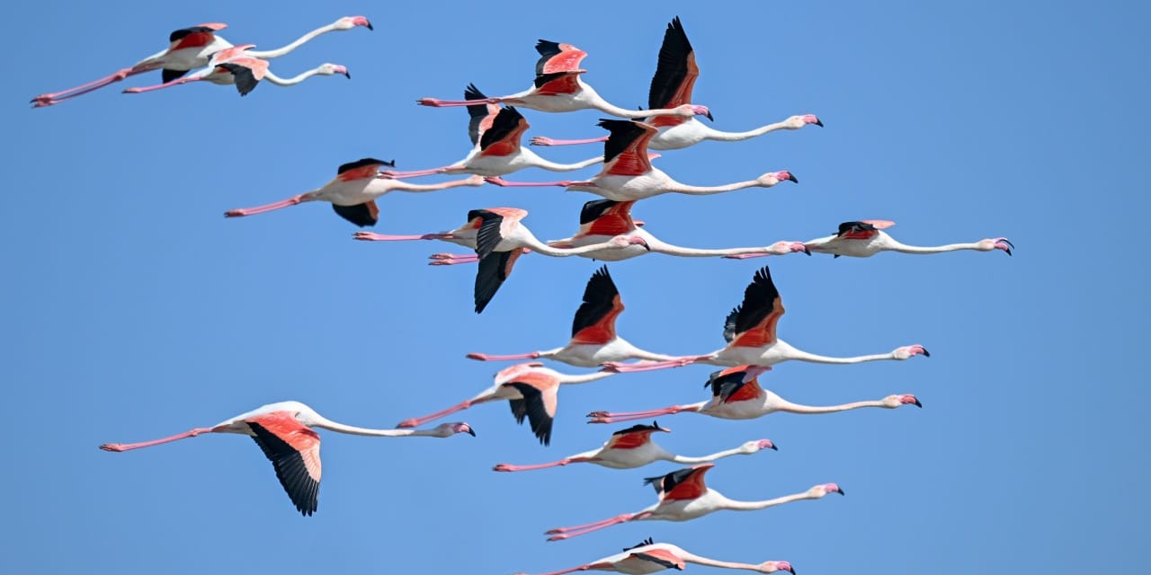 Bir zamanlar efsaneydi: 40 yıl sonra geri döndüler