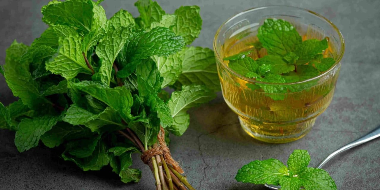 Bu üçlü birleşince iltihabı yüzlerce kat azaltıyor