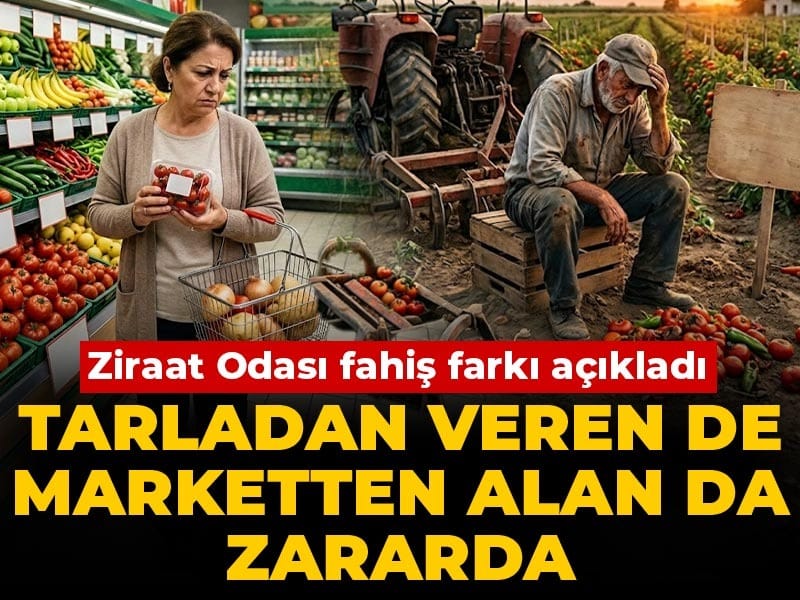 Ziraat Odası fahiş farkı açıkladı: Tarladan veren de marketten alan da zararda