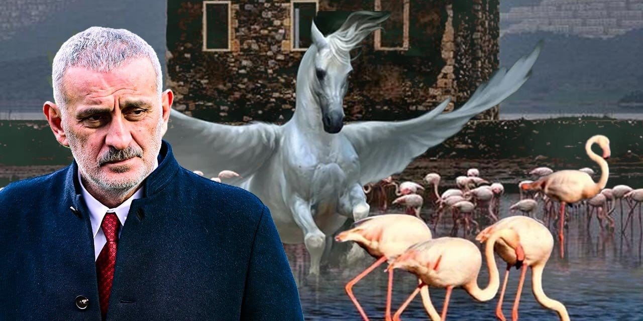 Hacıosmanoğlu flamingolara karşı: Bir de Pegasus var