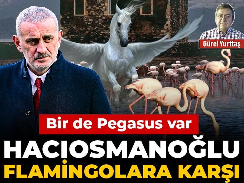 Hacıosmanoğlu flamingolara karşı: Bir de Pegasus var