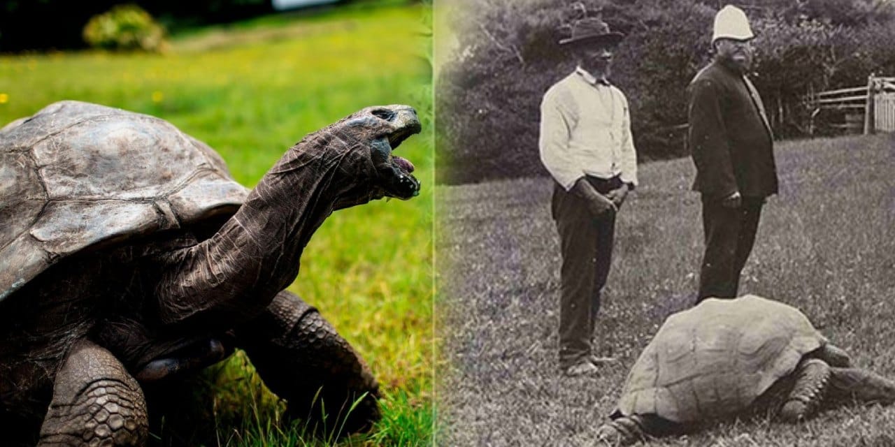 194 yıllık efsaneye büyük yalan: Ölüm haberi sahte çıktı