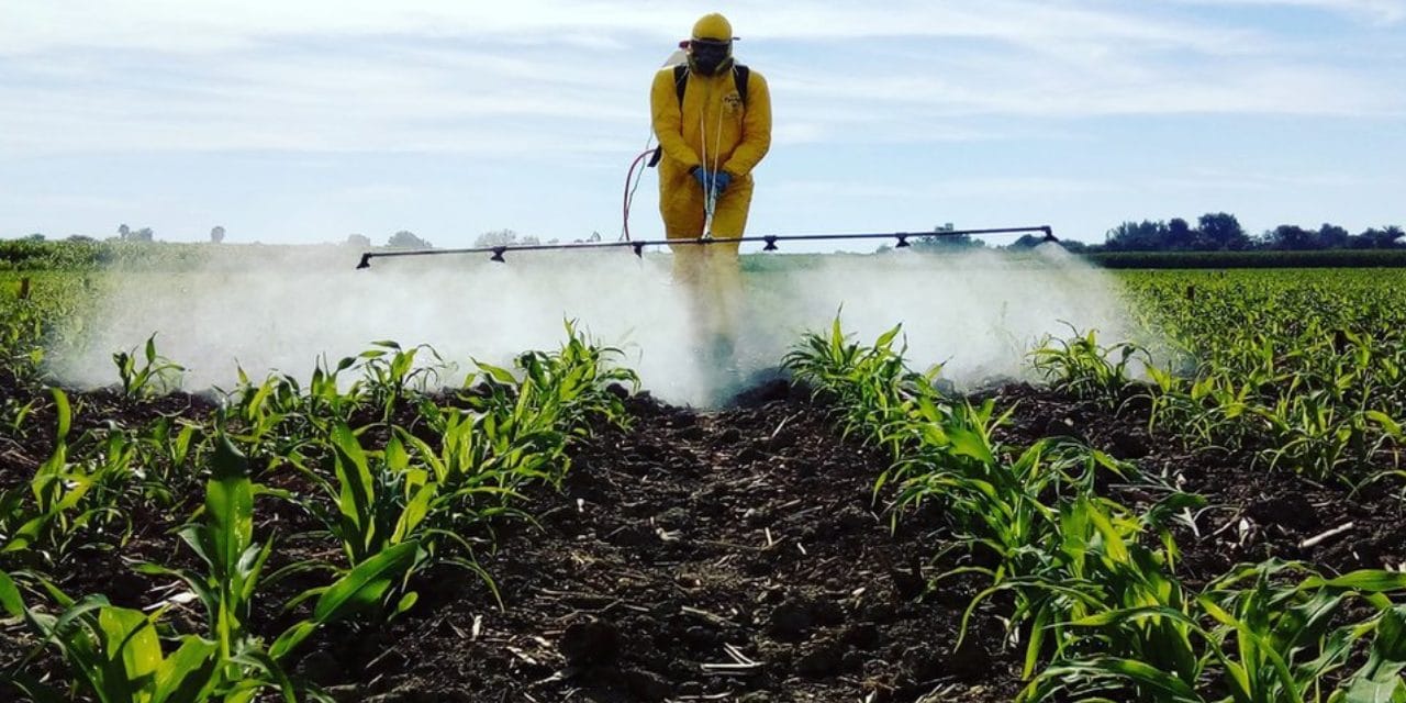 Pestisit maruziyeti büyüyür: Kanser riski yüzde 150’ye kadar yükseliyor
