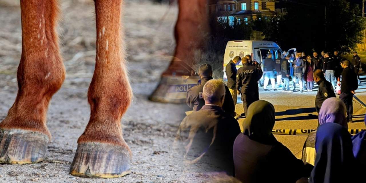 At izinden tutuklanan cinayet şüphelisi mahkemede konuştu