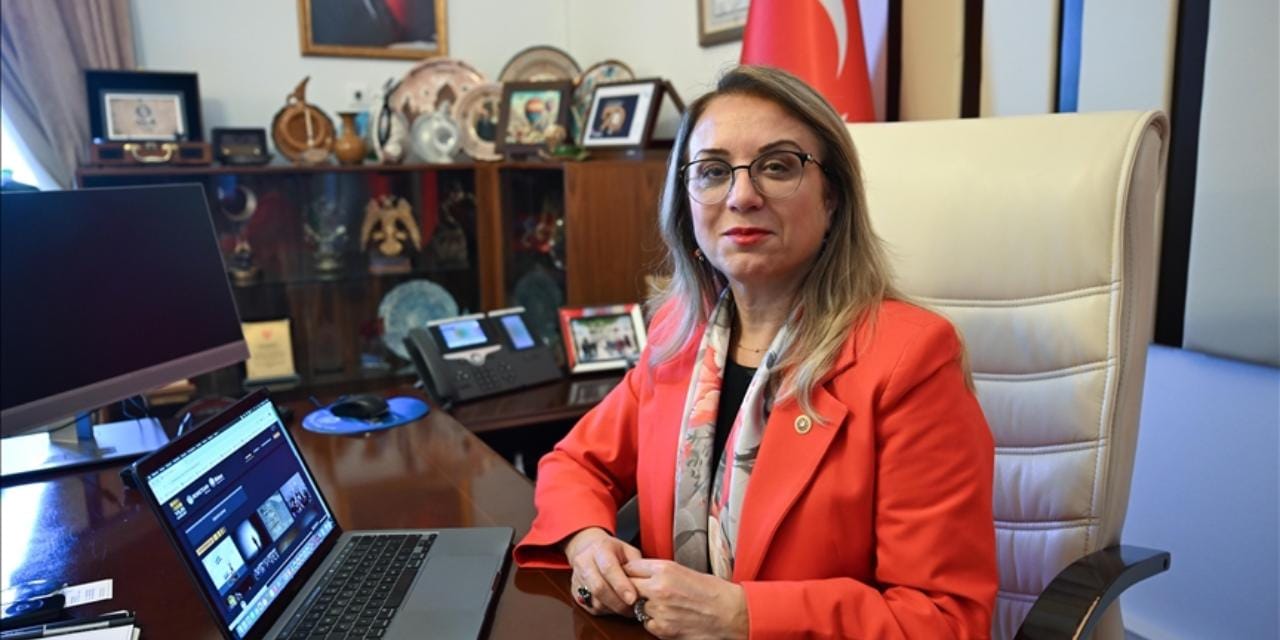 DEM'den sonra MHP'den de araç seçim yanıtı