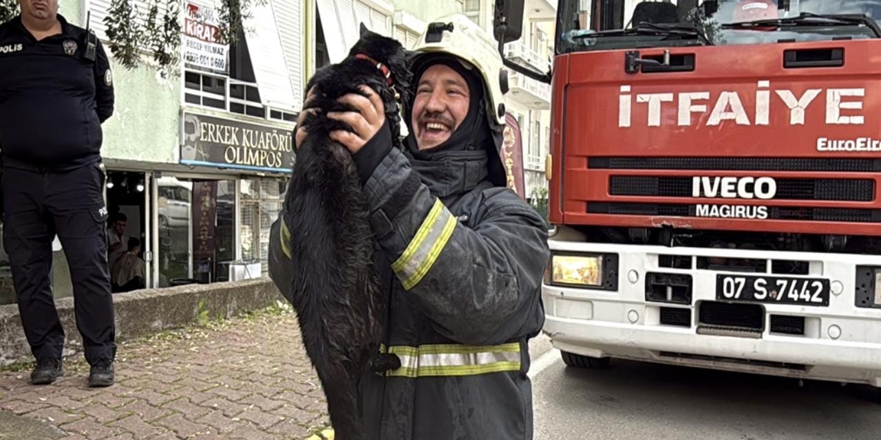 Alevlerin arasından kurtardığı kediyi kalp masajıyla yaşama döndürdü!