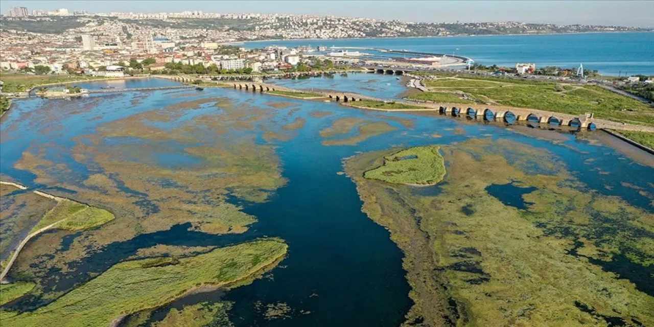 Büyükçekmece Gölü'nde su çekilince balıklar karada kaldı
