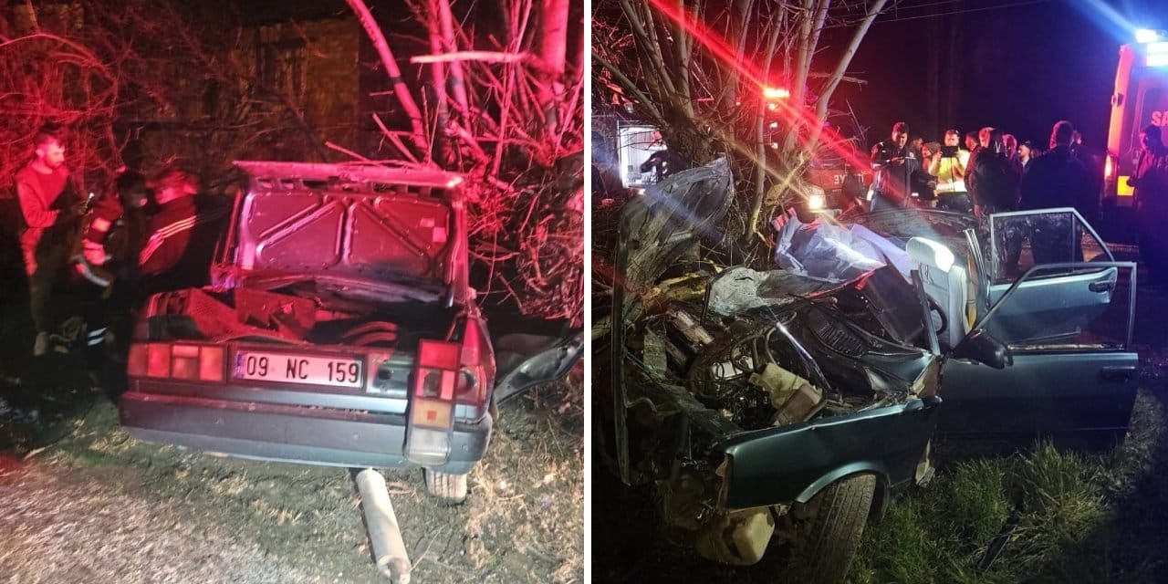Otomobilin ağaca çarptığı kazada iki çocuk hayatını kaybetti