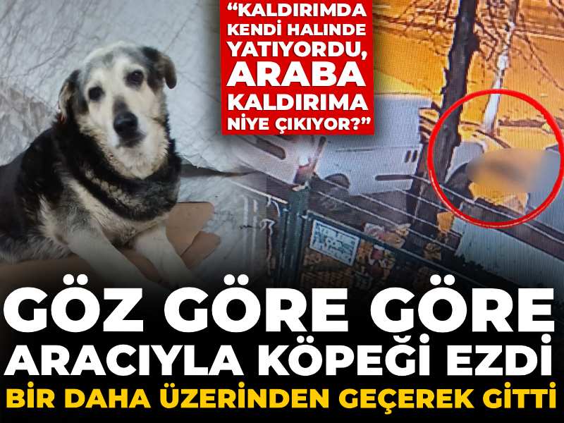 Göz göre göre aracıyla köpeği ezdi: Bir daha üzerinden geçerek gitti!