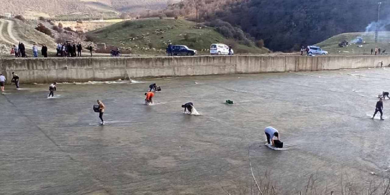 Balık yakalamak için ellerinde çuval, kova ve kasalarla baraja akın ettiler