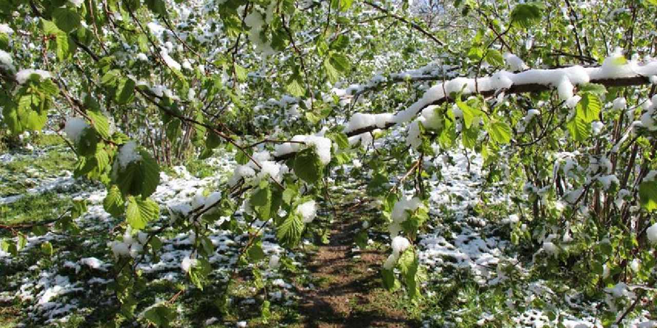 Üreticilere çağrı yapıldı! Bakanlık ve valilik tarih vererek uyardı