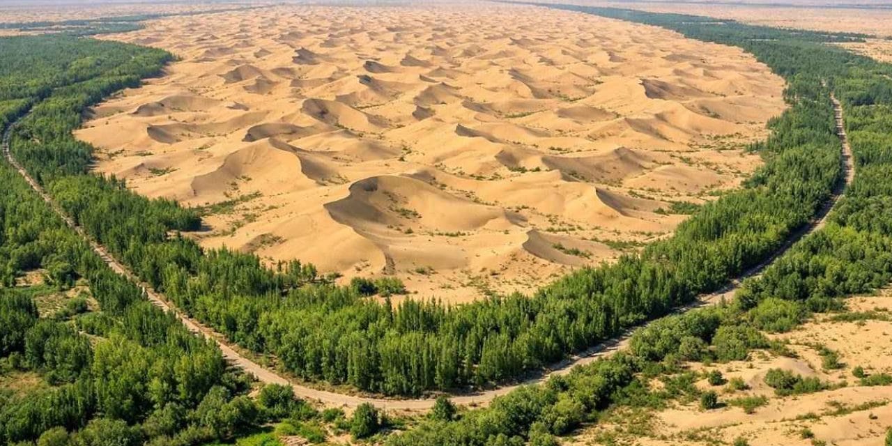 Çölün ortasına 60 milyar ağaç dikildi: Artık zehir değil, nefes saçıyor