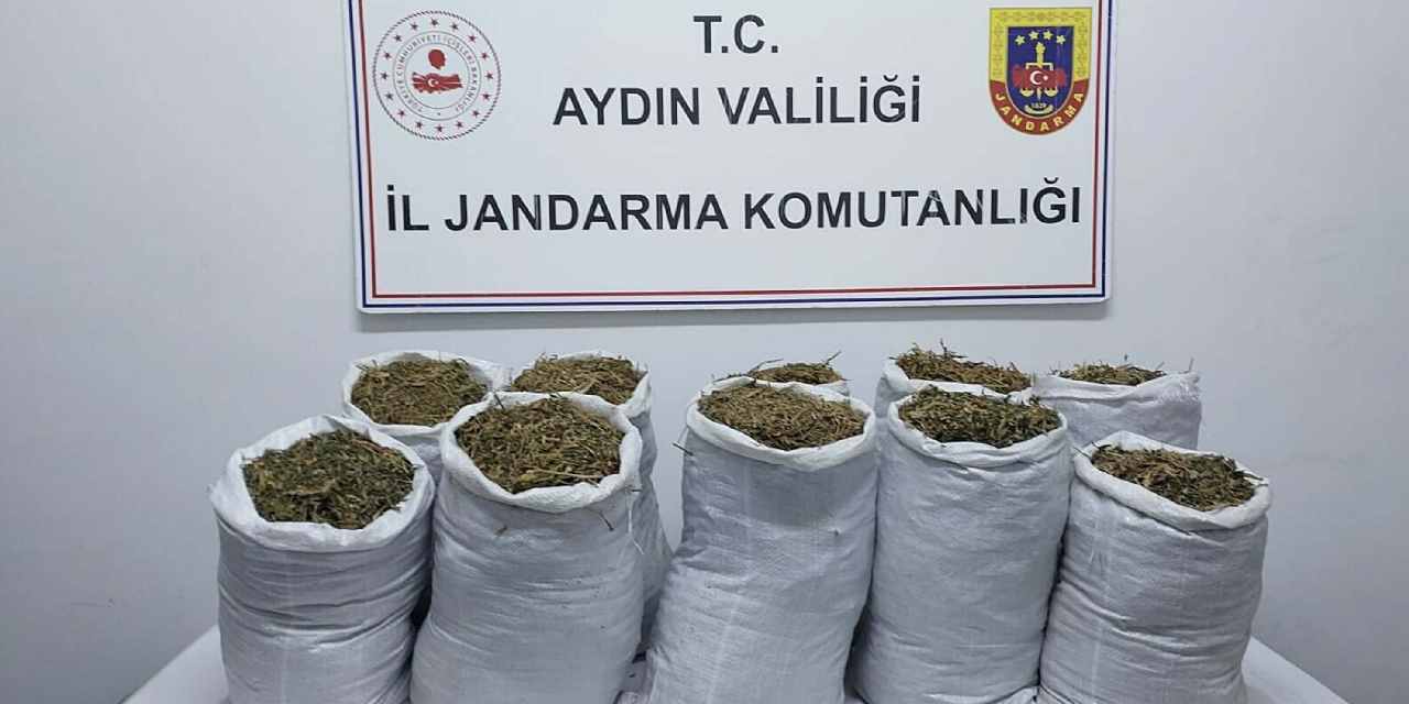 Aydın'da uyuşturucu operasyonu: Gözaltılar var
