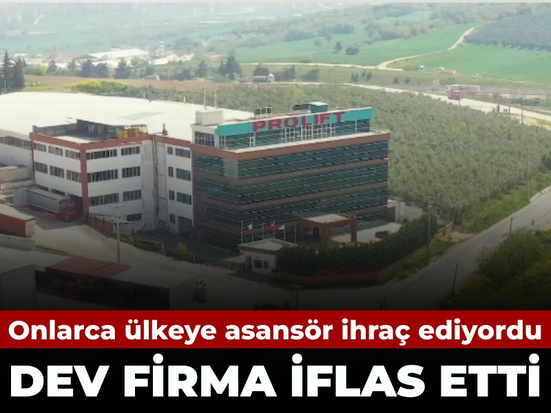 Onlarca ülkeye ihraç ediyordu: Dev firma iflas etti