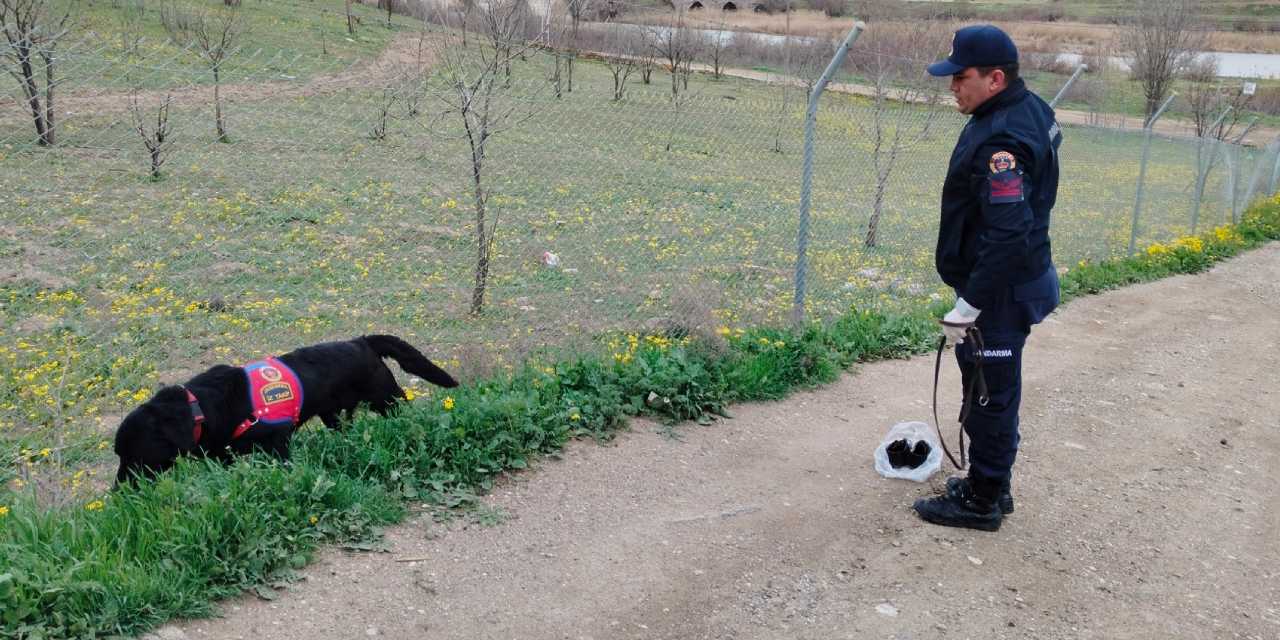 Taksiyle gitti bir daha haber alınamadı: Arama çalışmaları 3. gününde!