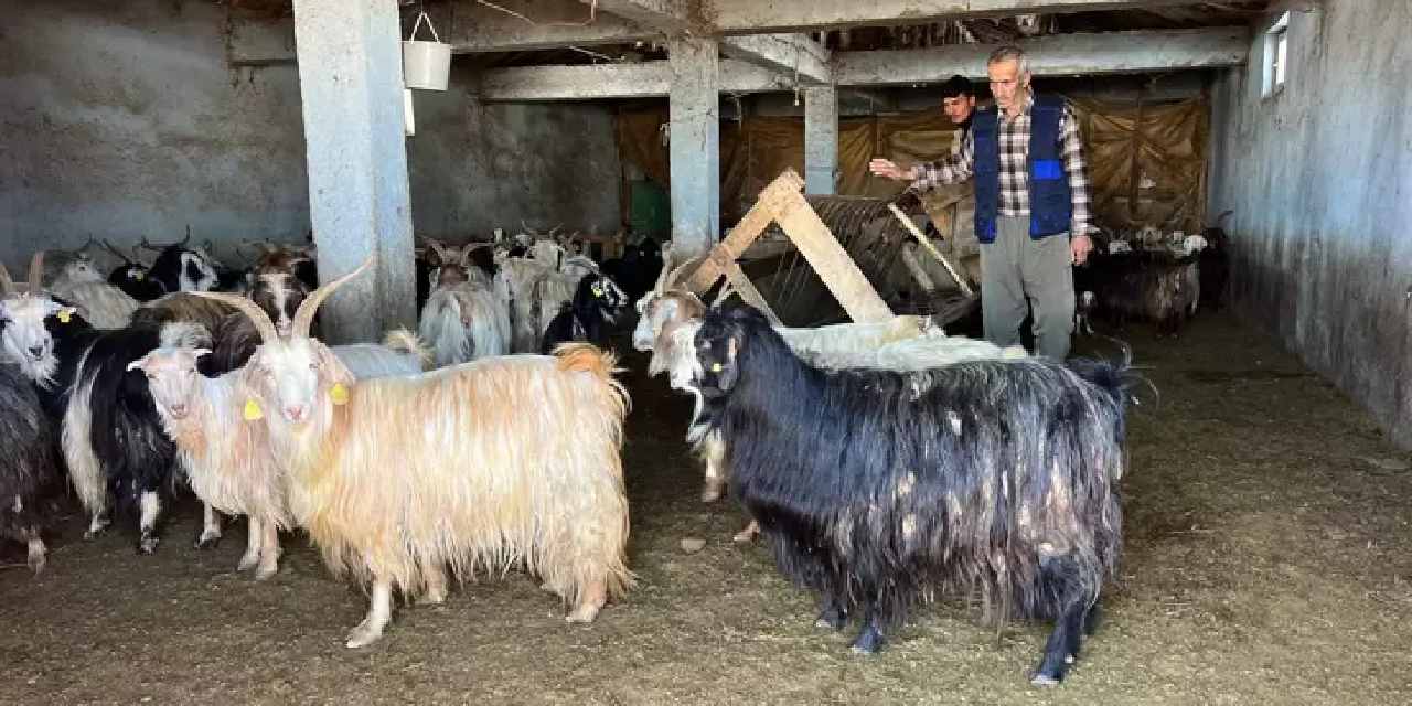 İlçede kar kalınlığı 1 metreyi buldu! Hayvanlar meraya bile çıkamadı