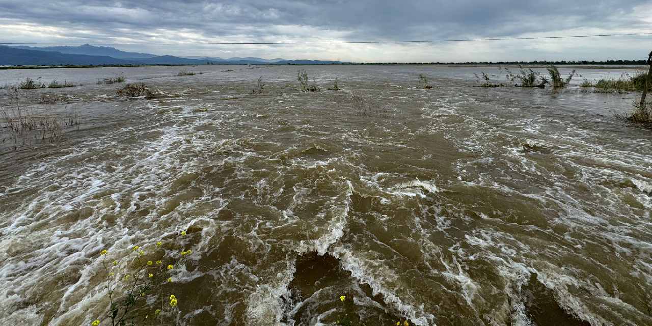 Büyük Menderes Nehri taştı: 65 bin dönüm tarım arazisini su bastı