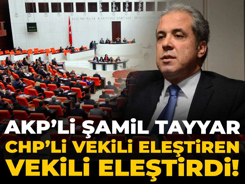 AKP’li Şamil Tayyar CHP’li vekili eleştiren AKP'li vekili eleştirdi!
