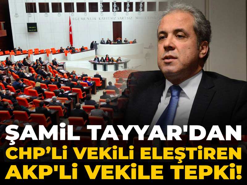 AKP’li Şamil Tayyar CHP’li vekili eleştiren AKP'li vekili eleştirdi!