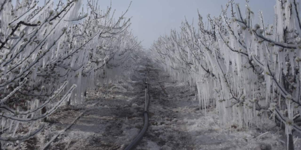 Meteoroloji geçtiğimiz yılın kabusuna karşı yine aynı uyarıyı yaptı: Hafta sonu keskin bir ayazla başladı