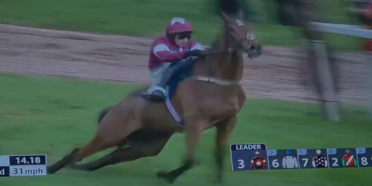 Kazanmak için sırtı kırılan atı defalarca kırbaçladı! İşkenceli galibiyetten sonra da öldürüldü... İşte o görüntüler