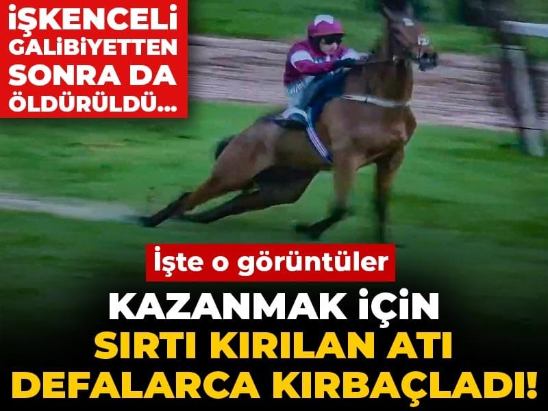 Kazanmak için sırtı kırılan atı defalarca kırbaçladı! İşkenceli galibiyetten sonra da öldürüldü... İşte o görüntüler