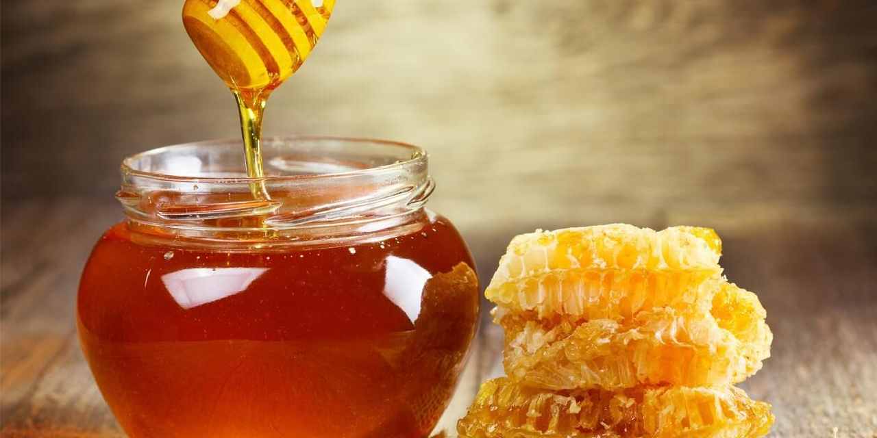 Türk balına talep patladı: 31 ülkede alıcı buldu