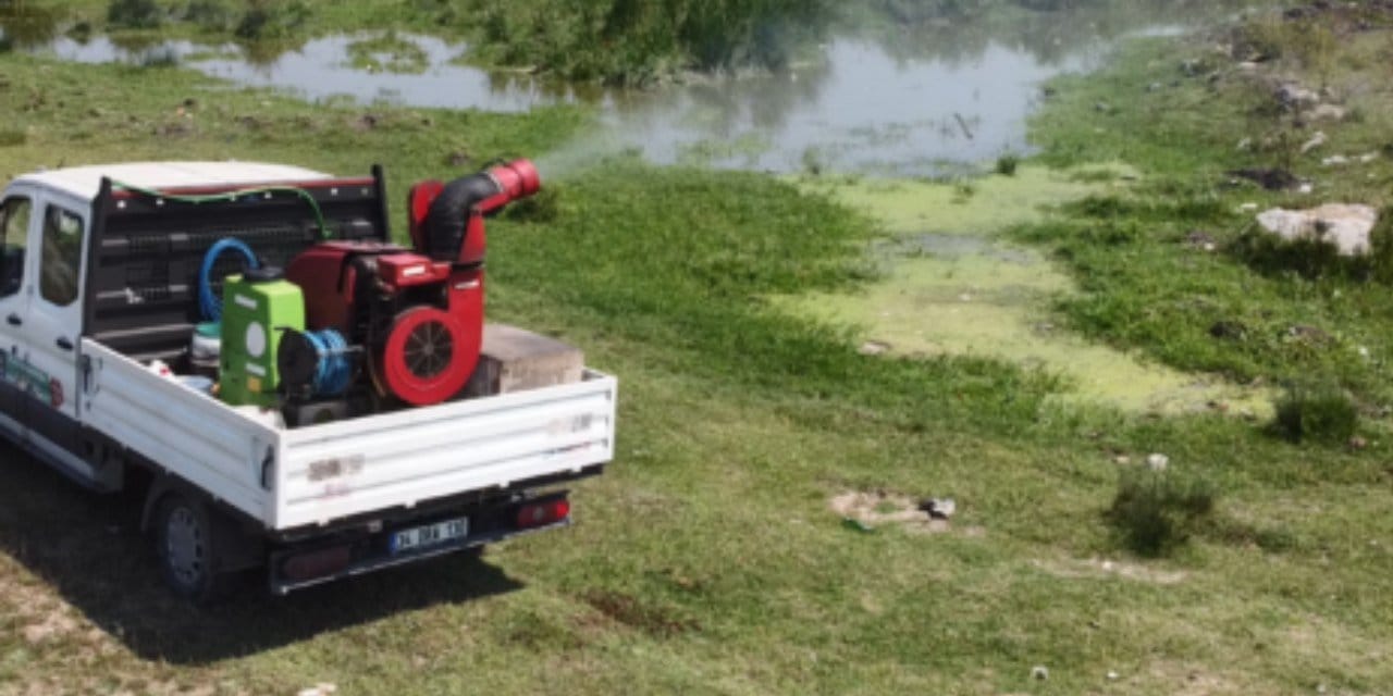 İstanbul için haşere alarmı: Valilikten 'kesintisiz mücadele' talimatı