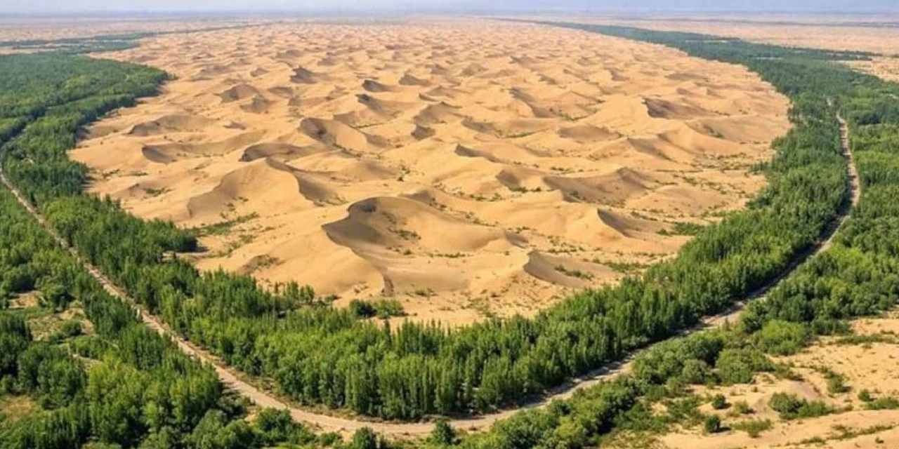 Çölün kaderi değişti