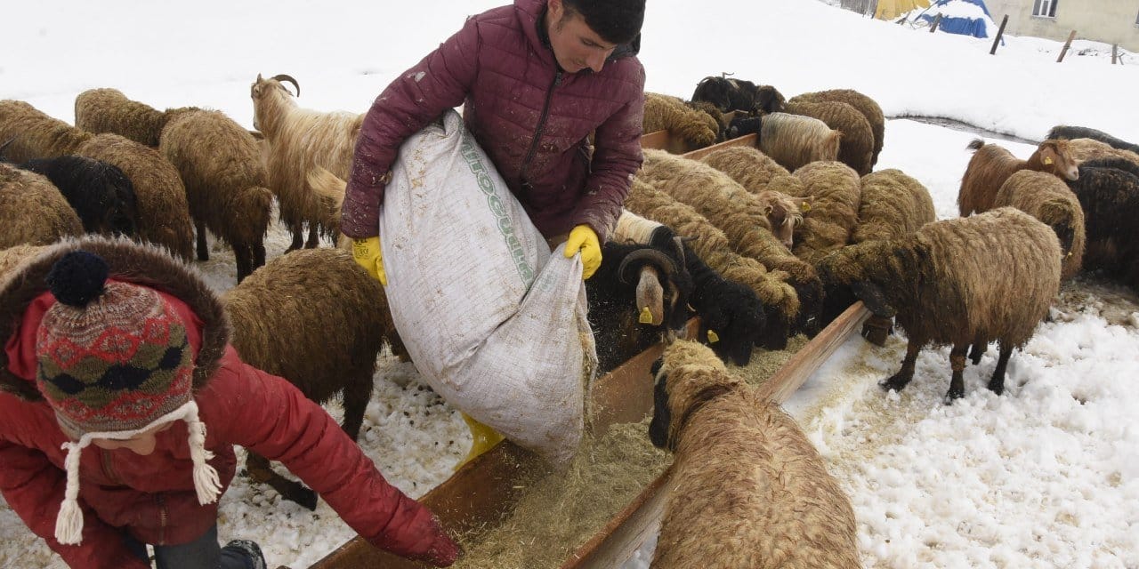 Nisan karı üreticiyi vurdu: Stoklar bitiyor!