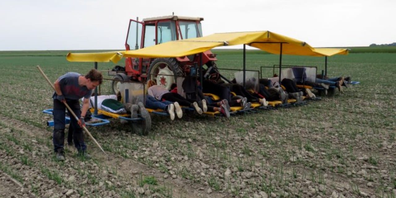 Eskiden belleri bükülürdü! Şimdi yatarak para kazanıyorlar